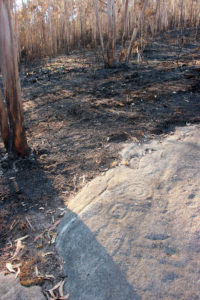 O lume danou varias estacións de petróglifos en Villestro / A Rula