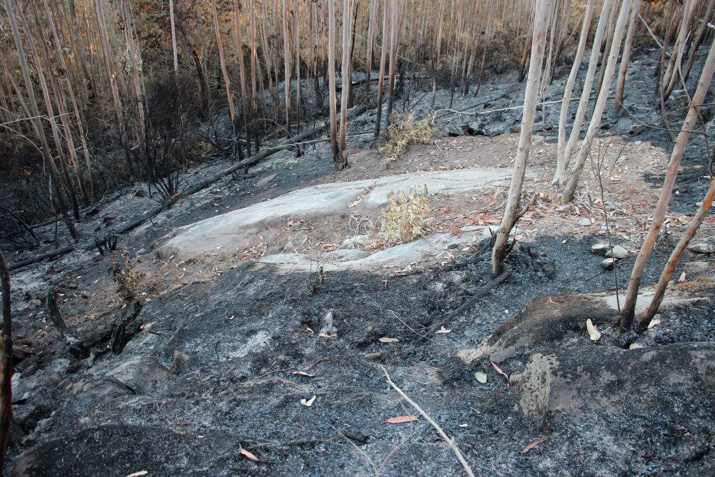 Petróglifos da Pedra da Loba, en Villestro, Santiago, afectados polo lume / A Rula